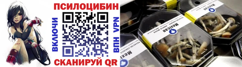 Купить закладки  Беслан  Галлюциногенные грибы Psilocybe 